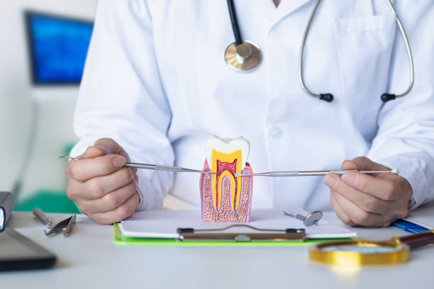 Best Emergency Orthodontic Repairs in Veedersburg, IN